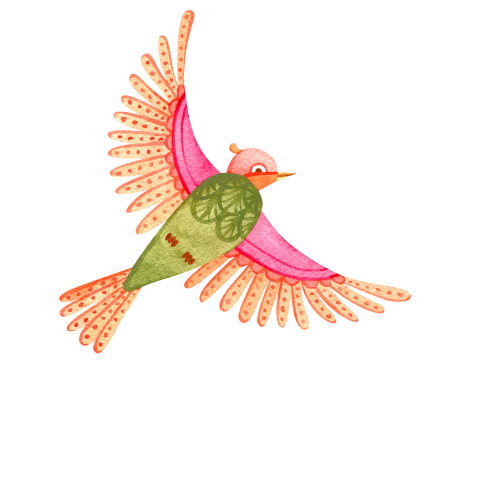 bird